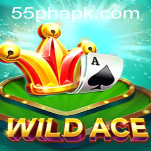 Unveiling WildAce: A New Frontier in Gaming